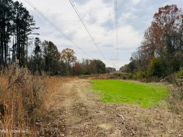 $246,750 | 1445 Parsons Road, Raymond, MS 39154