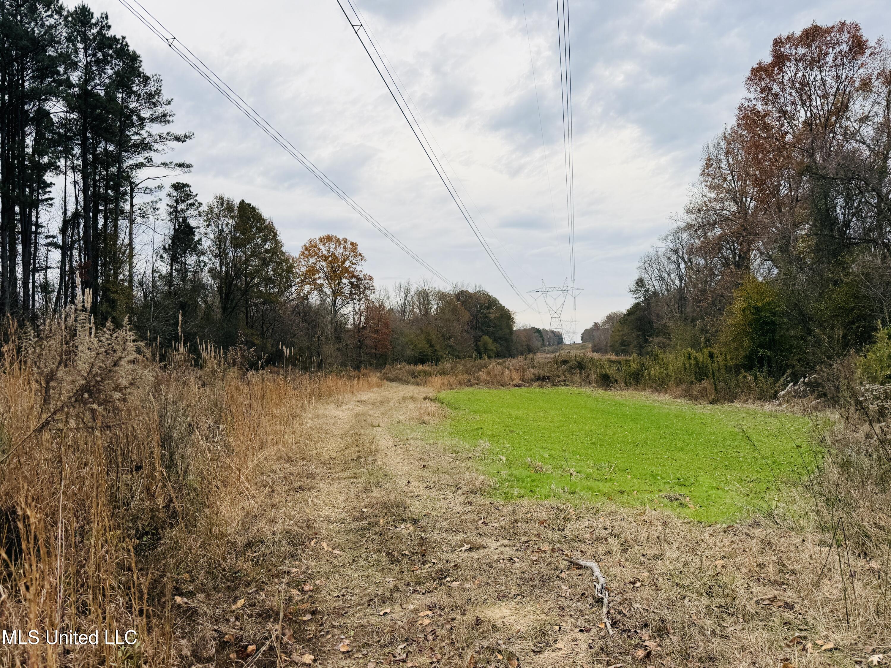 1445 Parsons Road Raymond, MS 39154 - Photo 17 of 56 Photo Dec 17 2025, 3 59 10 PM