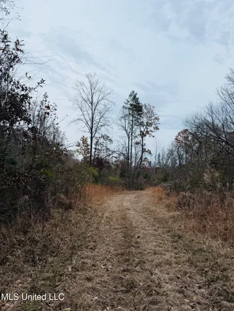 $246,750 | 1445 Parsons Road, Raymond, MS 39154