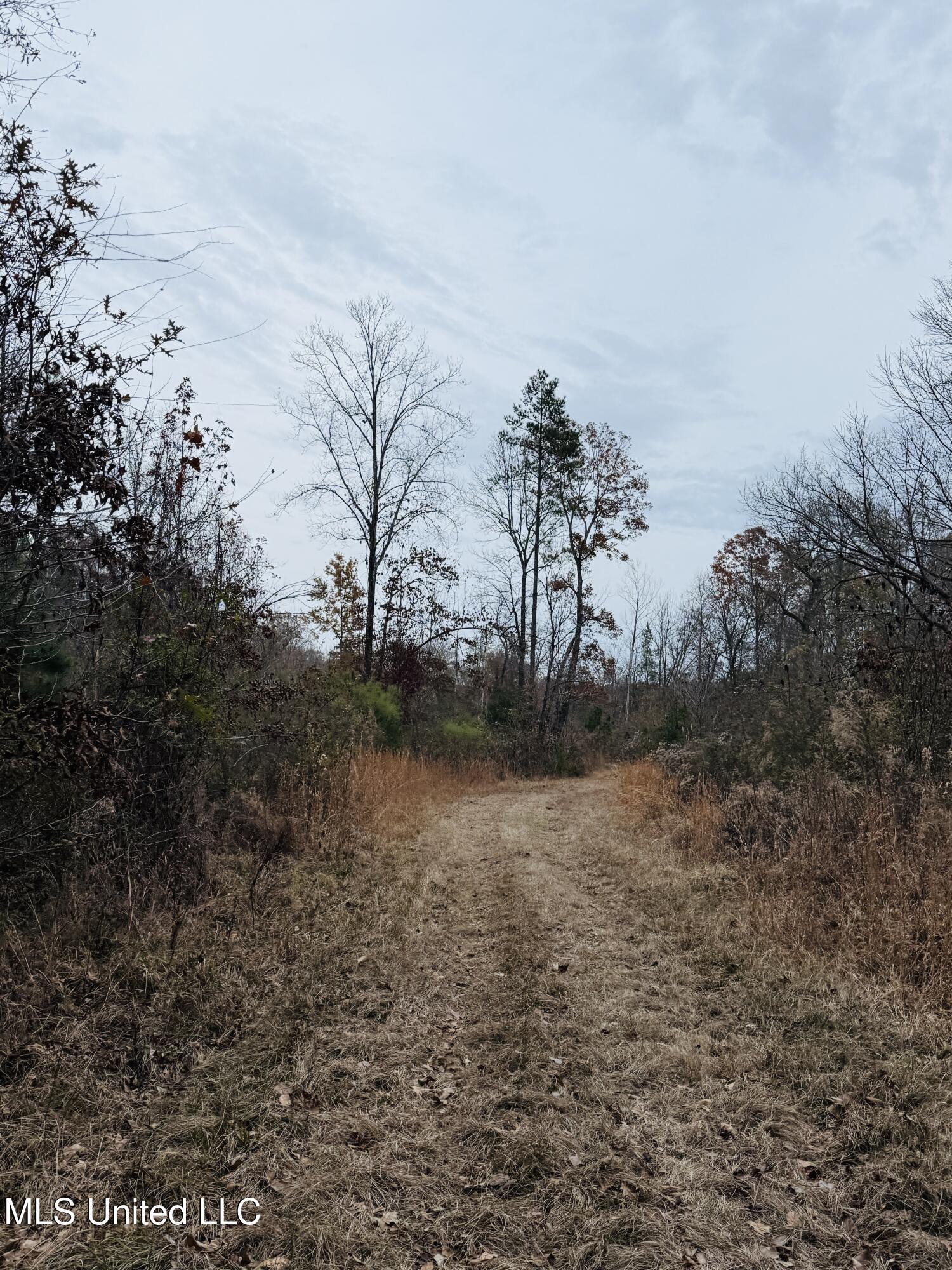 1445 Parsons Road Raymond, MS 39154 - Photo 18 of 56 Photo Dec 17 2025, 3 59 59 PM