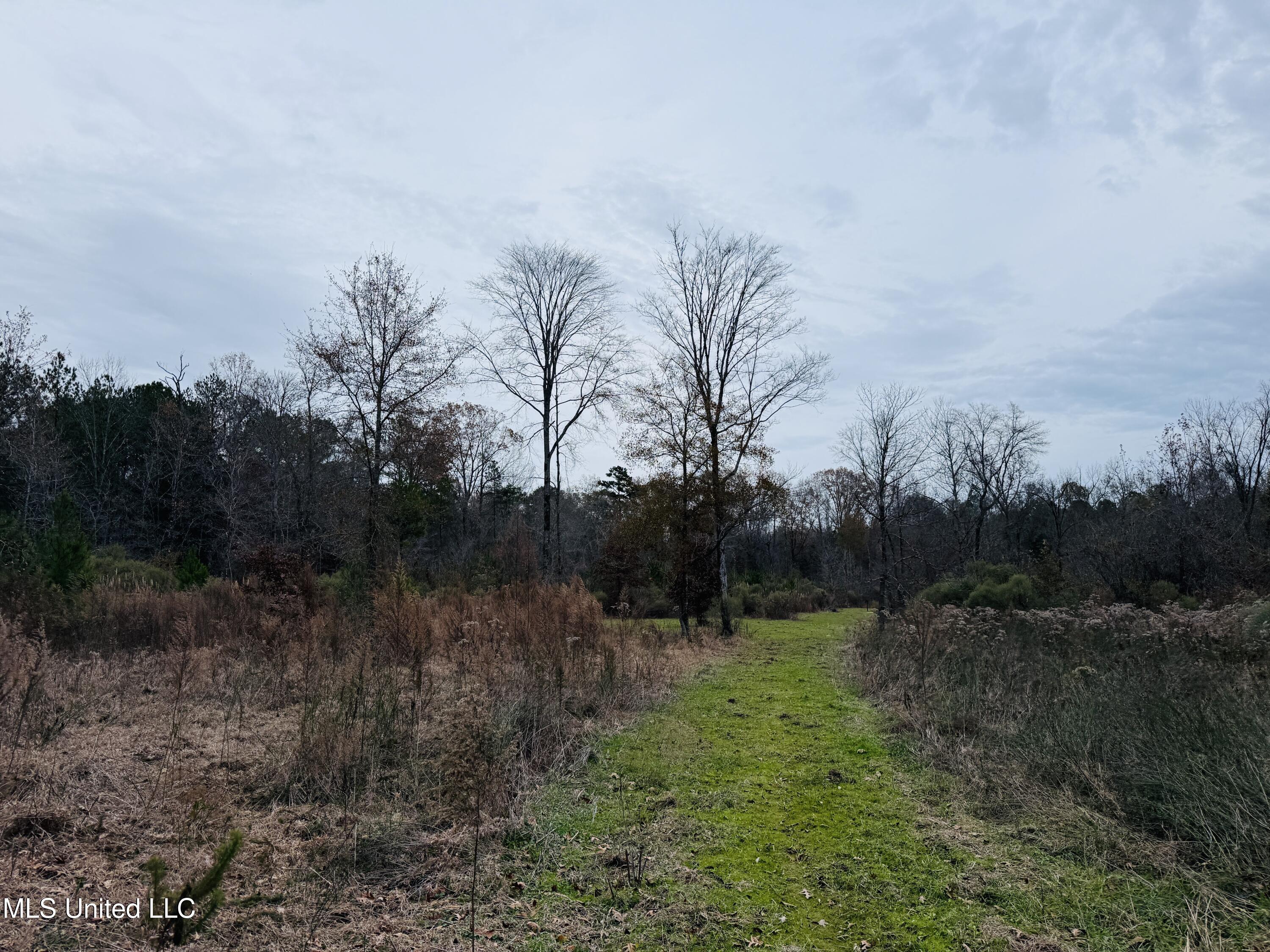1445 Parsons Road Raymond, MS 39154 - Photo 19 of 56 Photo Dec 17 2025, 4 00 58 PM