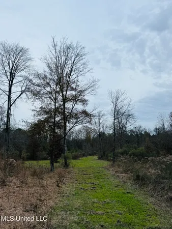 $246,750 | 1445 Parsons Road, Raymond, MS 39154