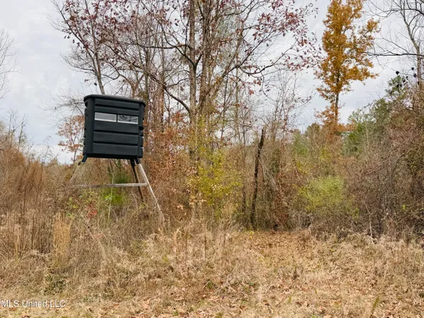 $246,750 | 1445 Parsons Road, Raymond, MS 39154