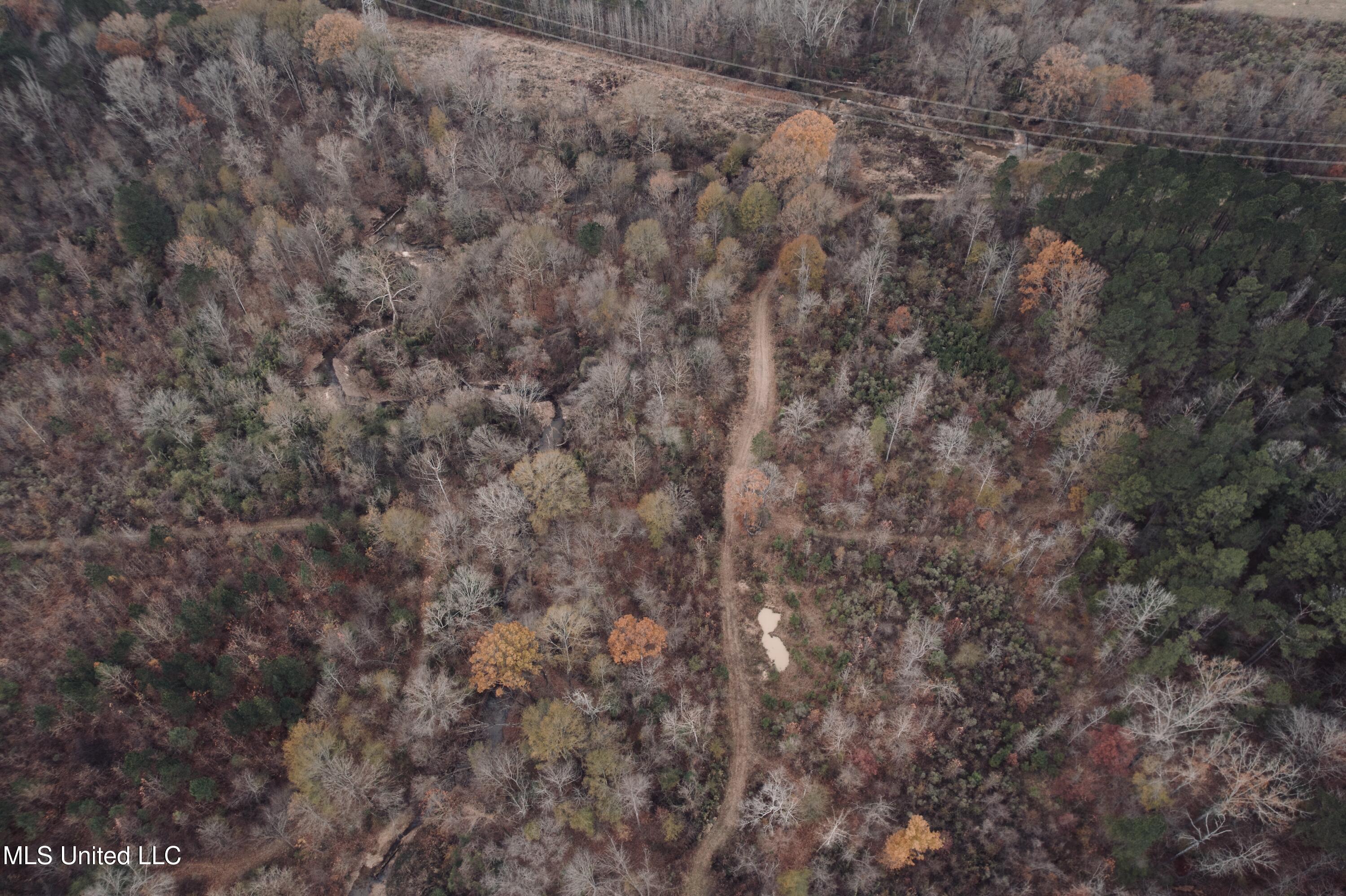 1445 Parsons Road Raymond, MS 39154 - Photo 23 of 56 Photo Dec 17 2025, 4 04 22 PM