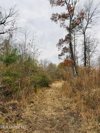 $246,750 | 1445 Parsons Road, Raymond, MS 39154