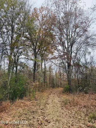 $246,750 | 1445 Parsons Road, Raymond, MS 39154