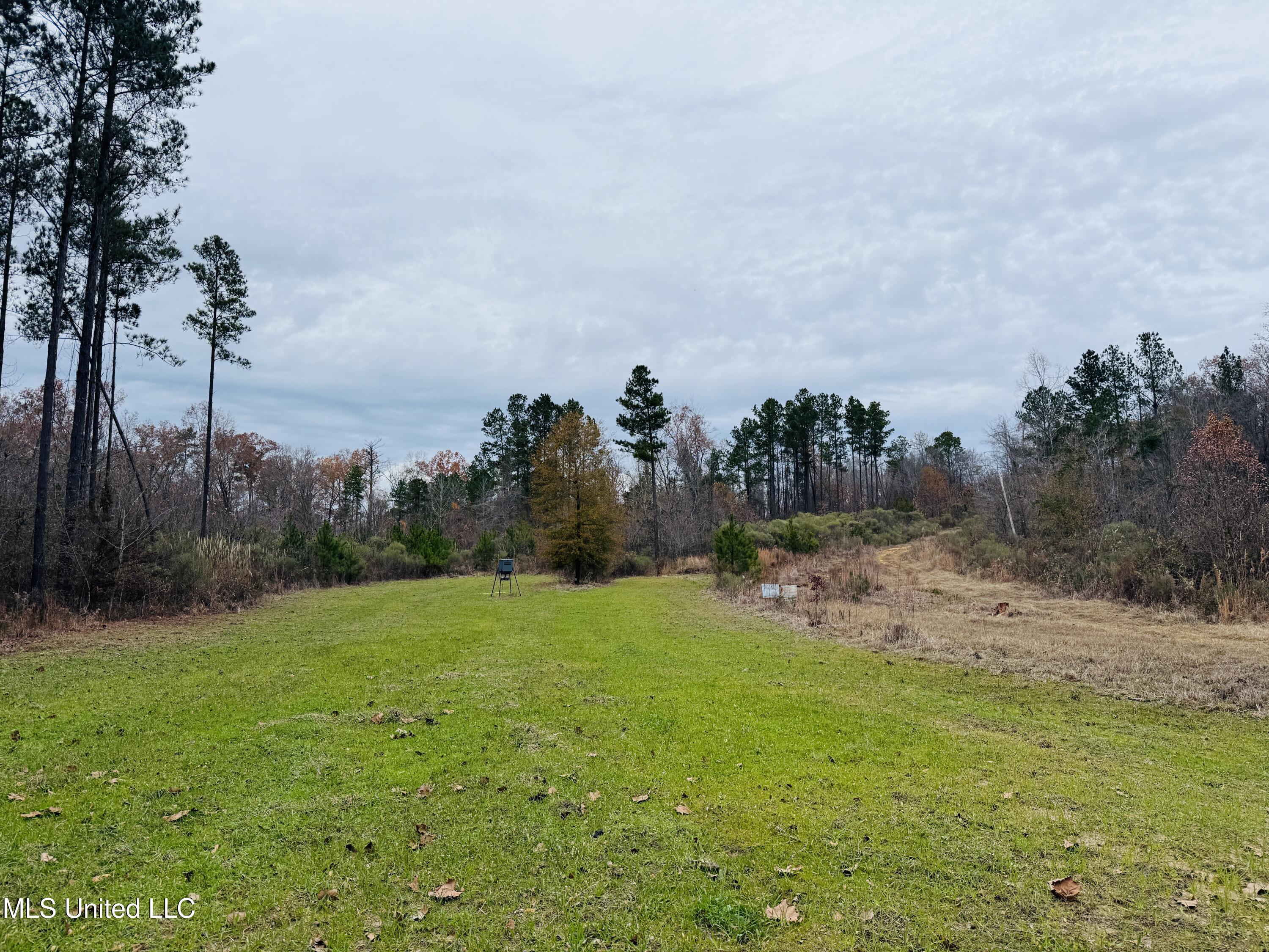 1445 Parsons Road Raymond, MS 39154 - Photo 3 of 56 3