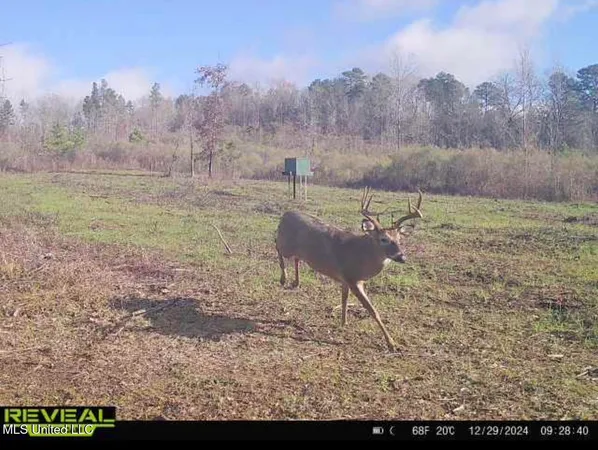 $246,750 | 1445 Parsons Road, Raymond, MS 39154