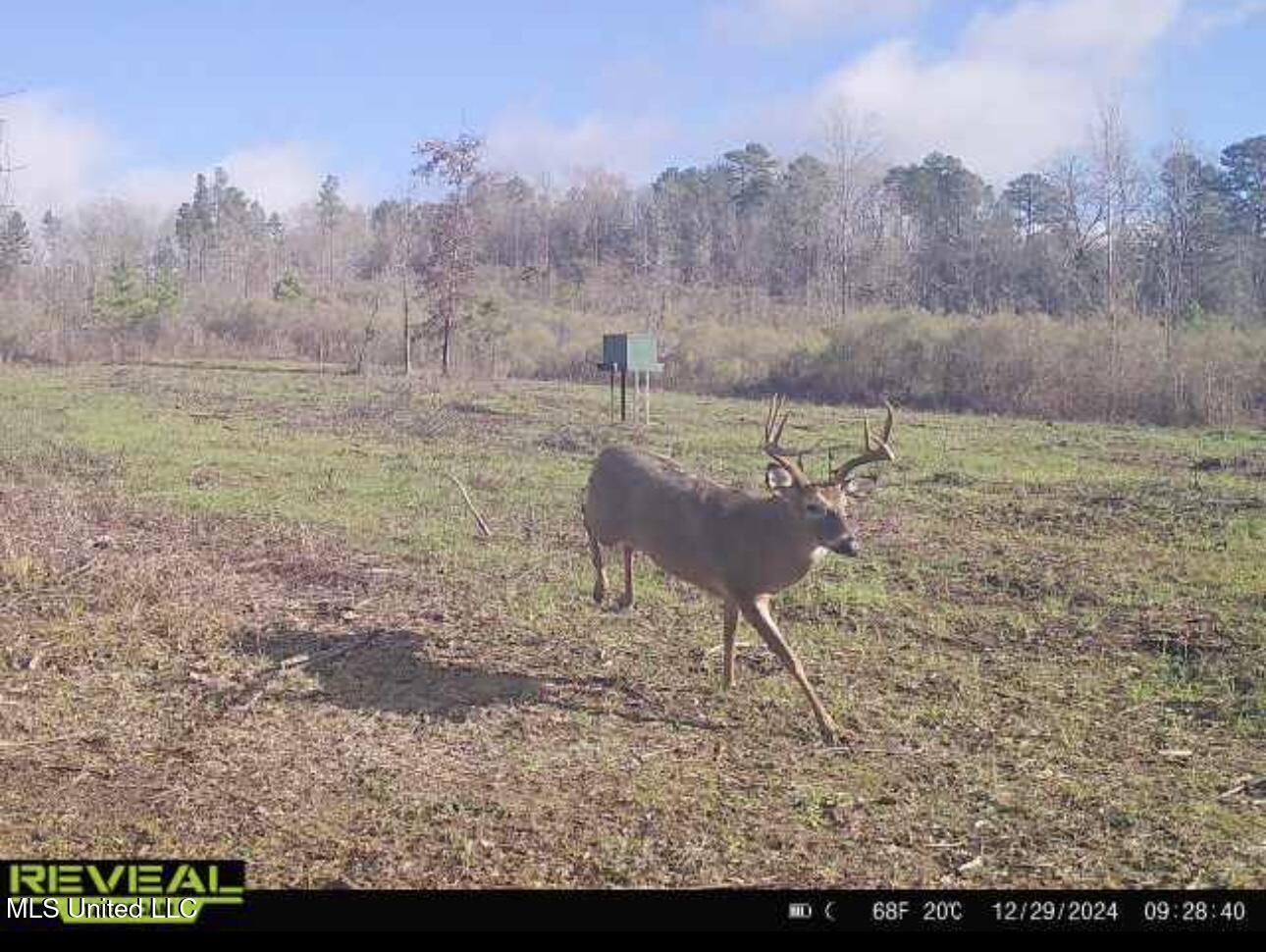1445 Parsons Road Raymond, MS 39154 - Photo 32 of 56 1
