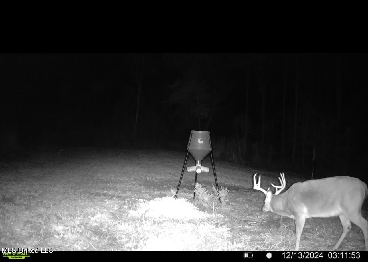 1445 Parsons Road Raymond, MS 39154 - Photo 33 of 56 2