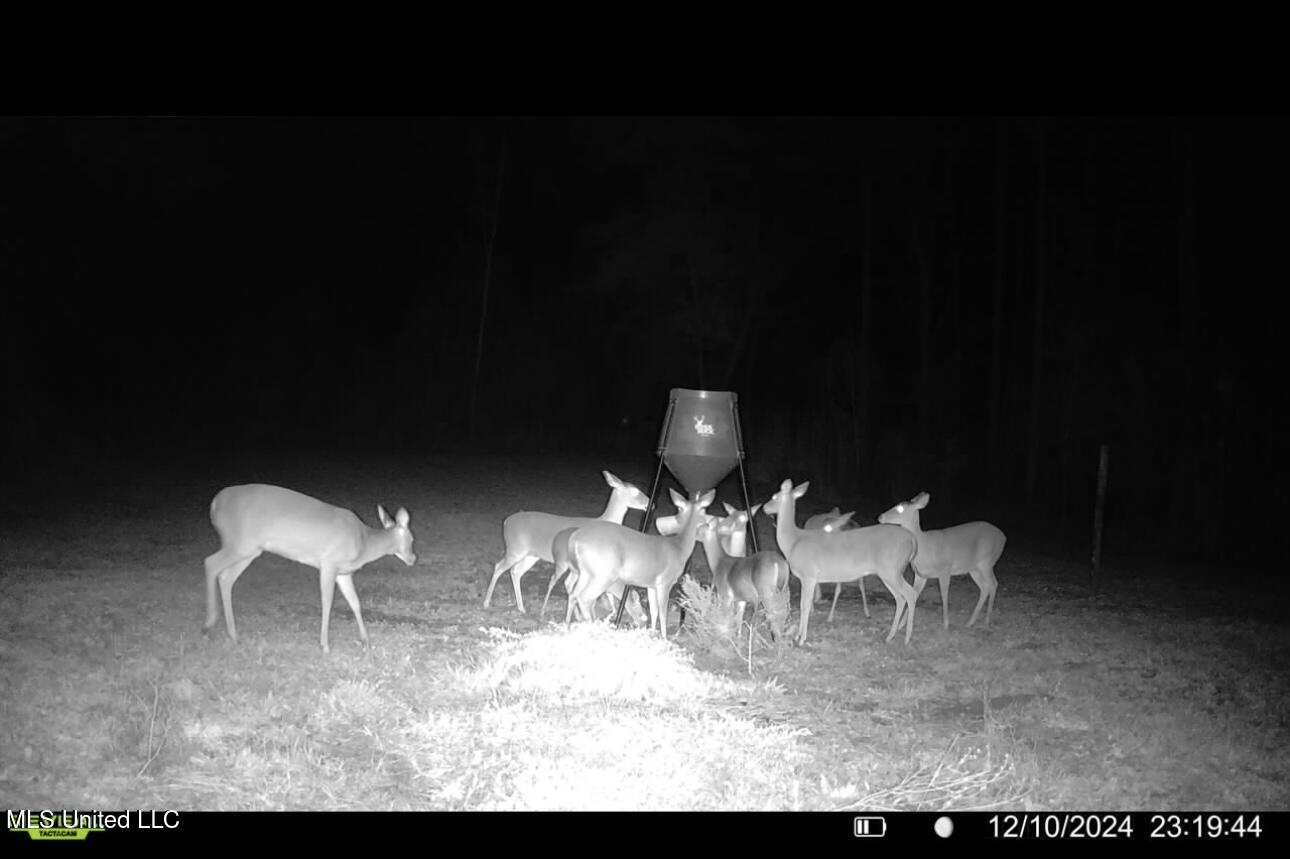 1445 Parsons Road Raymond, MS 39154 - Photo 34 of 56 3