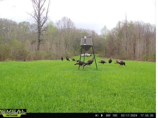 $246,750 | 1445 Parsons Road, Raymond, MS 39154