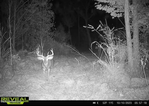 $246,750 | 1445 Parsons Road, Raymond, MS 39154