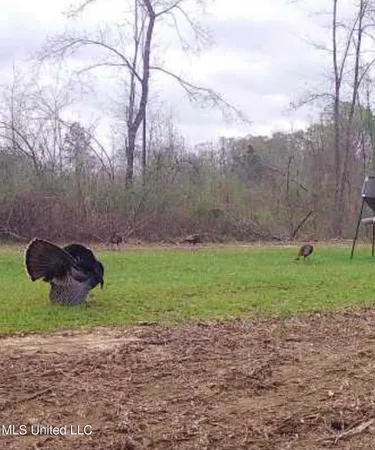 $246,750 | 1445 Parsons Road, Raymond, MS 39154