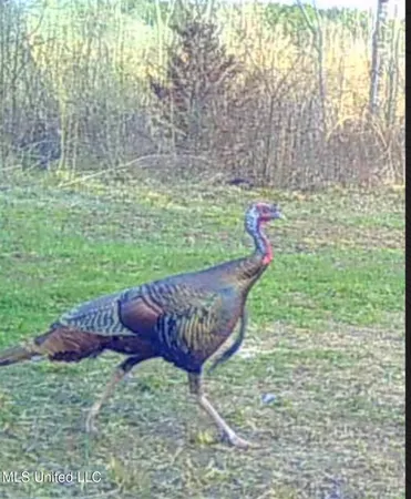 $246,750 | 1445 Parsons Road, Raymond, MS 39154