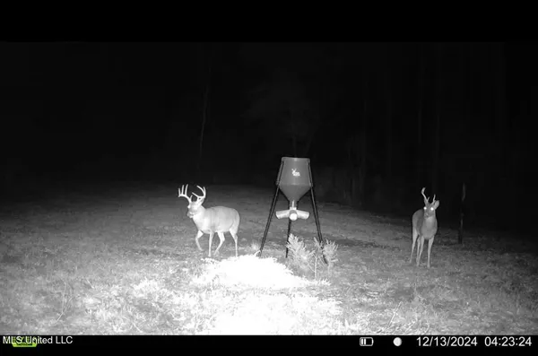 $246,750 | 1445 Parsons Road, Raymond, MS 39154