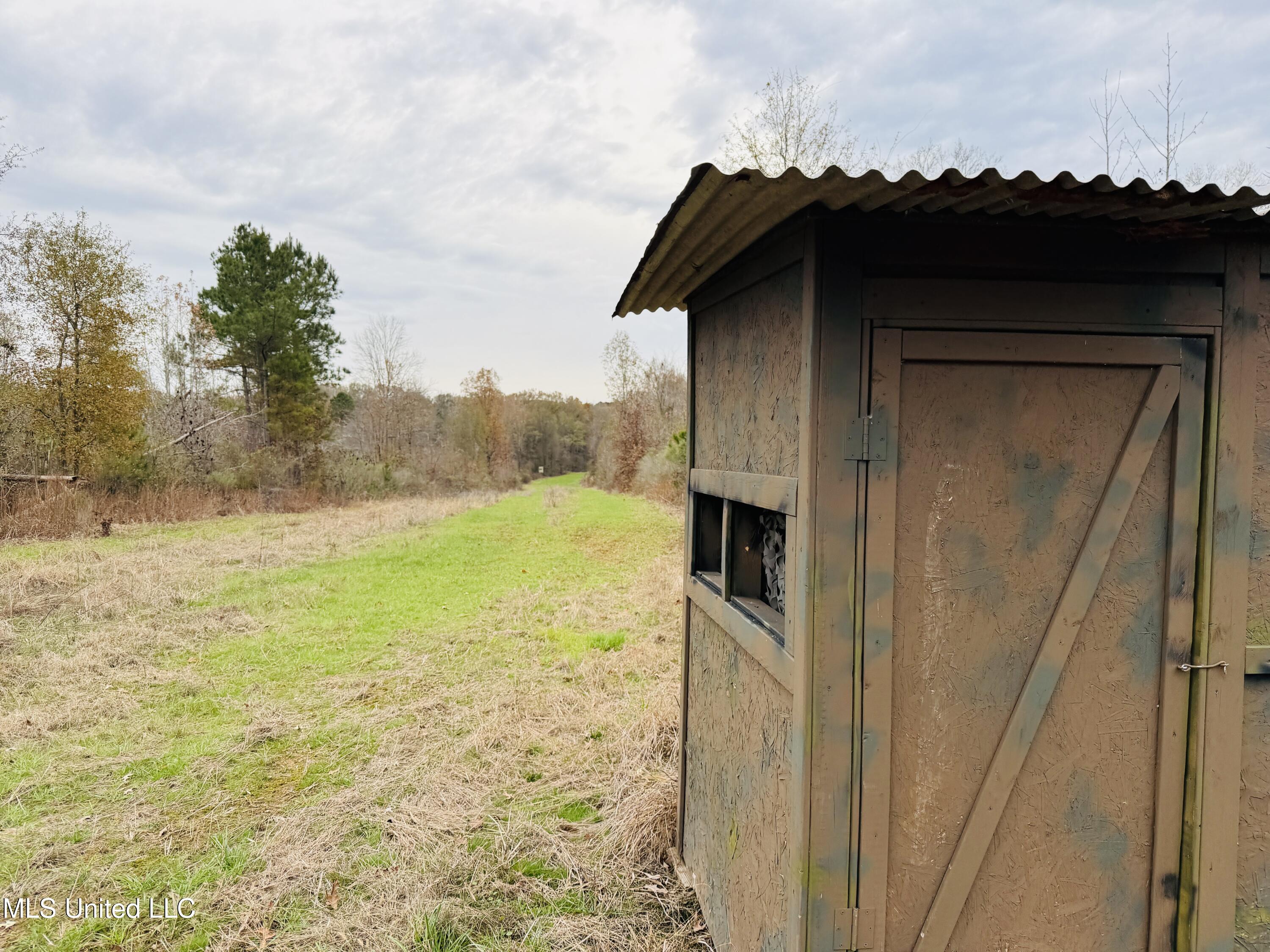 1445 Parsons Road Raymond, MS 39154 - Photo 4 of 56 4