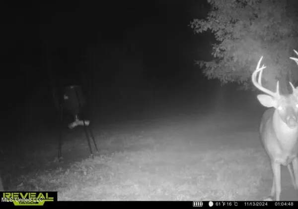 $246,750 | 1445 Parsons Road, Raymond, MS 39154