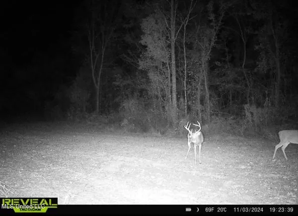 $246,750 | 1445 Parsons Road, Raymond, MS 39154