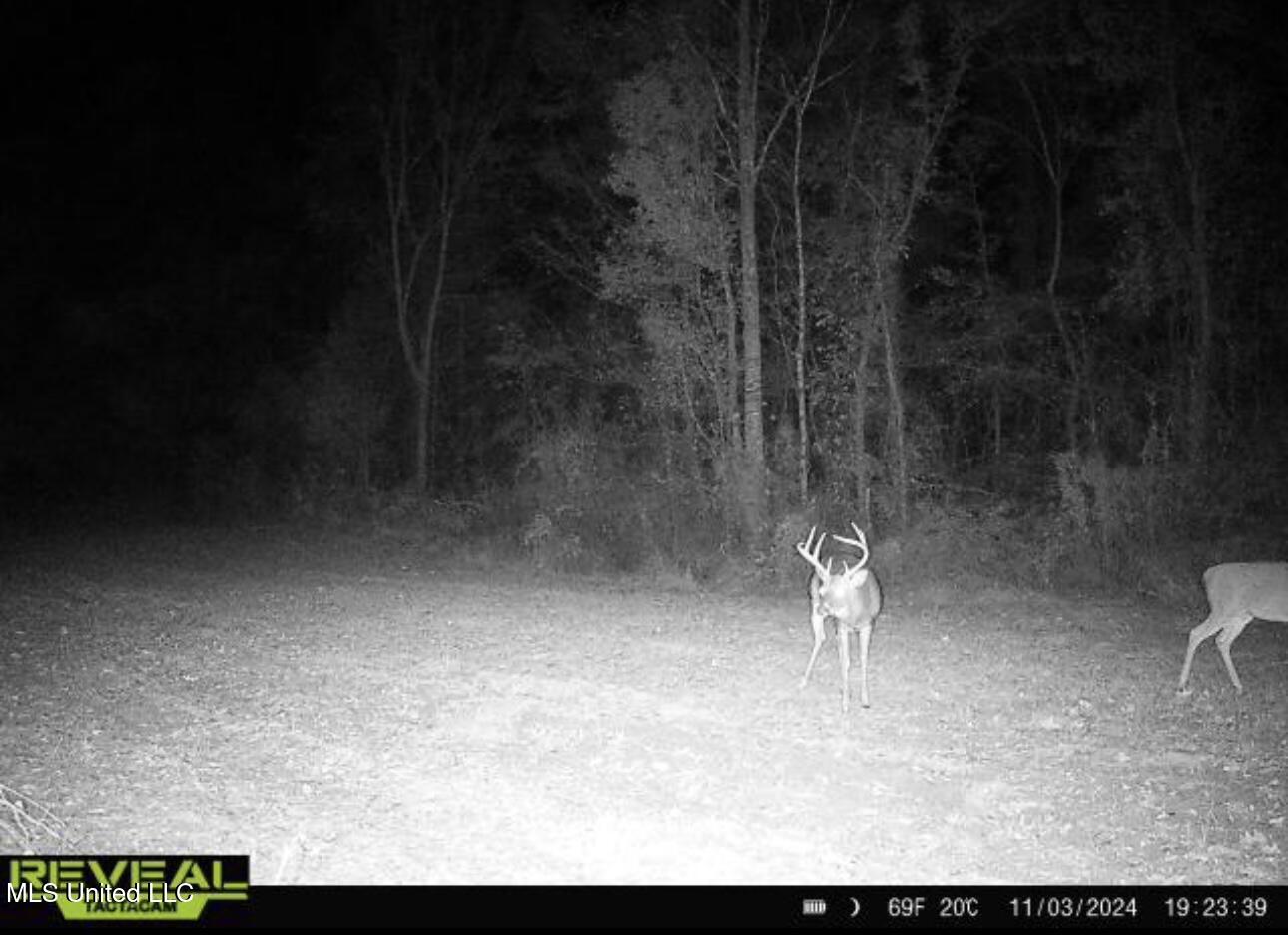1445 Parsons Road Raymond, MS 39154 - Photo 43 of 56 IMG_6878
