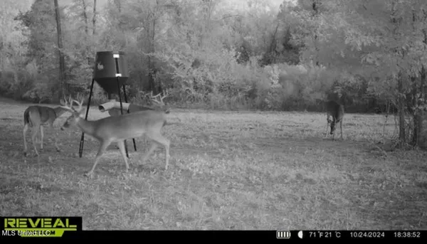 $246,750 | 1445 Parsons Road, Raymond, MS 39154