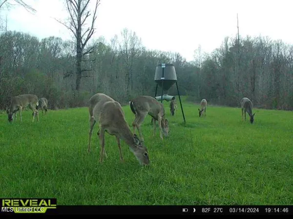 $246,750 | 1445 Parsons Road, Raymond, MS 39154