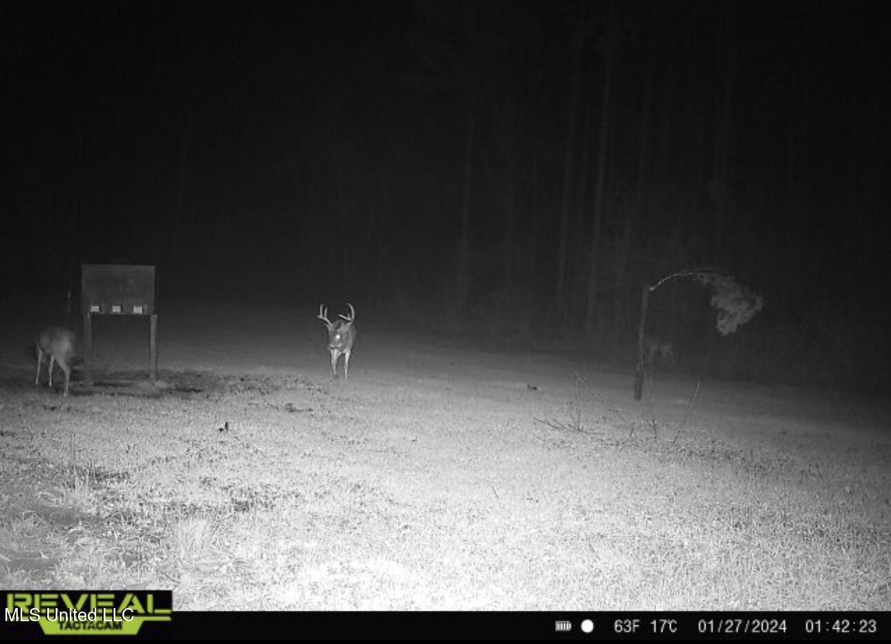 1445 Parsons Road Raymond, MS 39154 - Photo 48 of 56 IMG_6894