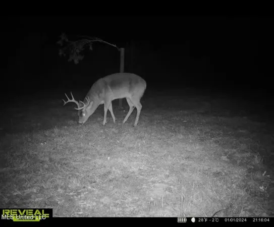 $246,750 | 1445 Parsons Road, Raymond, MS 39154