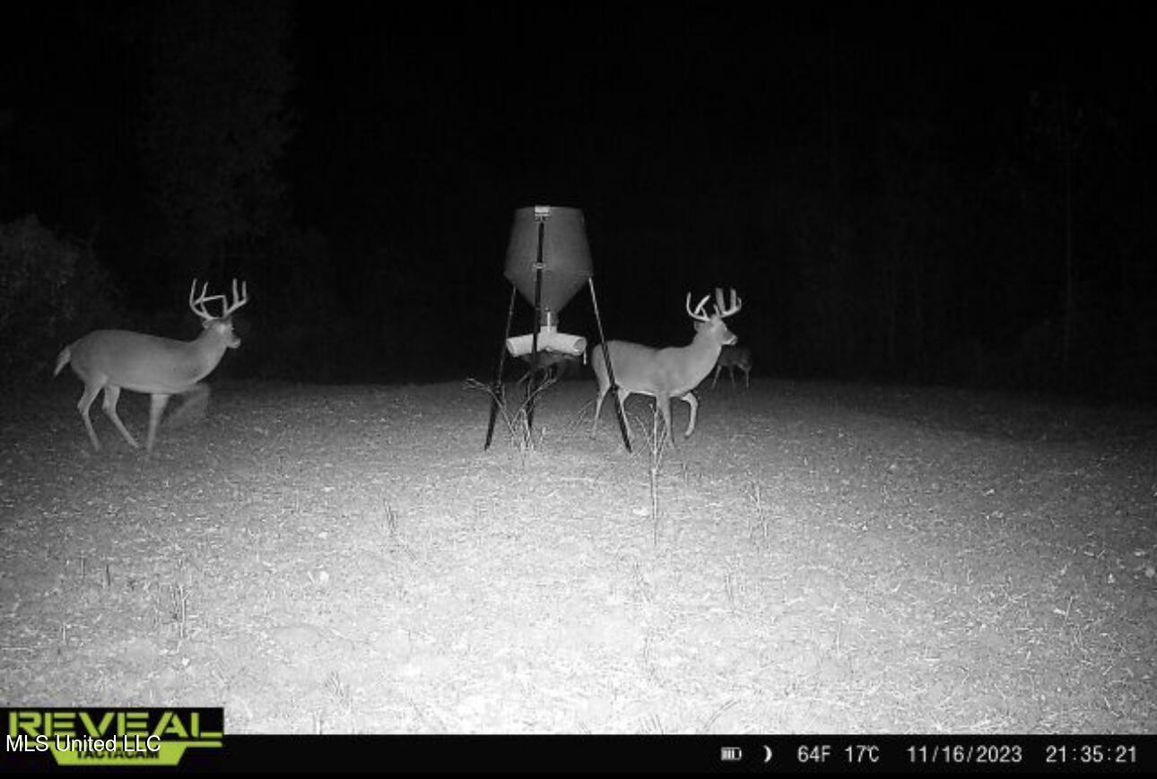 1445 Parsons Road Raymond, MS 39154 - Photo 50 of 56 IMG_6897