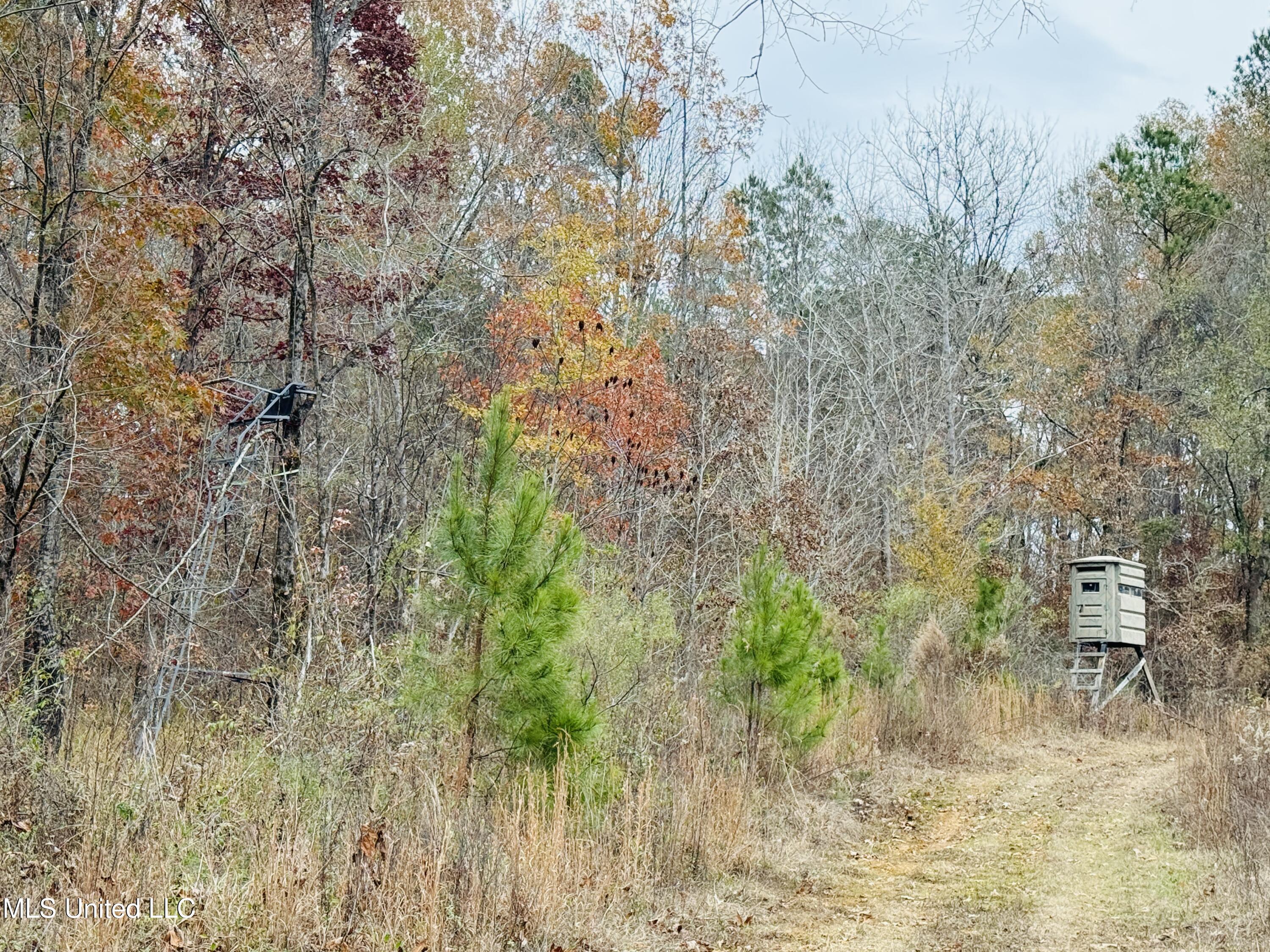 1445 Parsons Road Raymond, MS 39154 - Photo 5 of 56 5