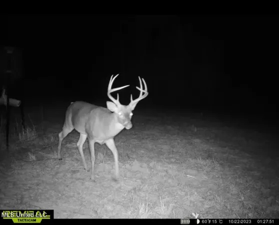 $246,750 | 1445 Parsons Road, Raymond, MS 39154