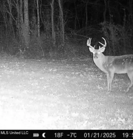 $246,750 | 1445 Parsons Road, Raymond, MS 39154