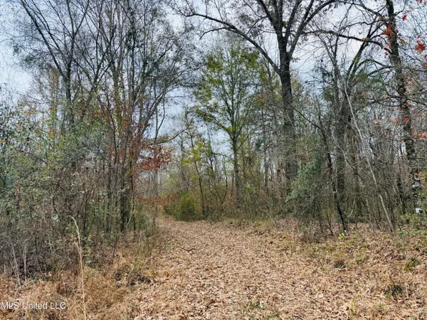 $246,750 | 1445 Parsons Road, Raymond, MS 39154