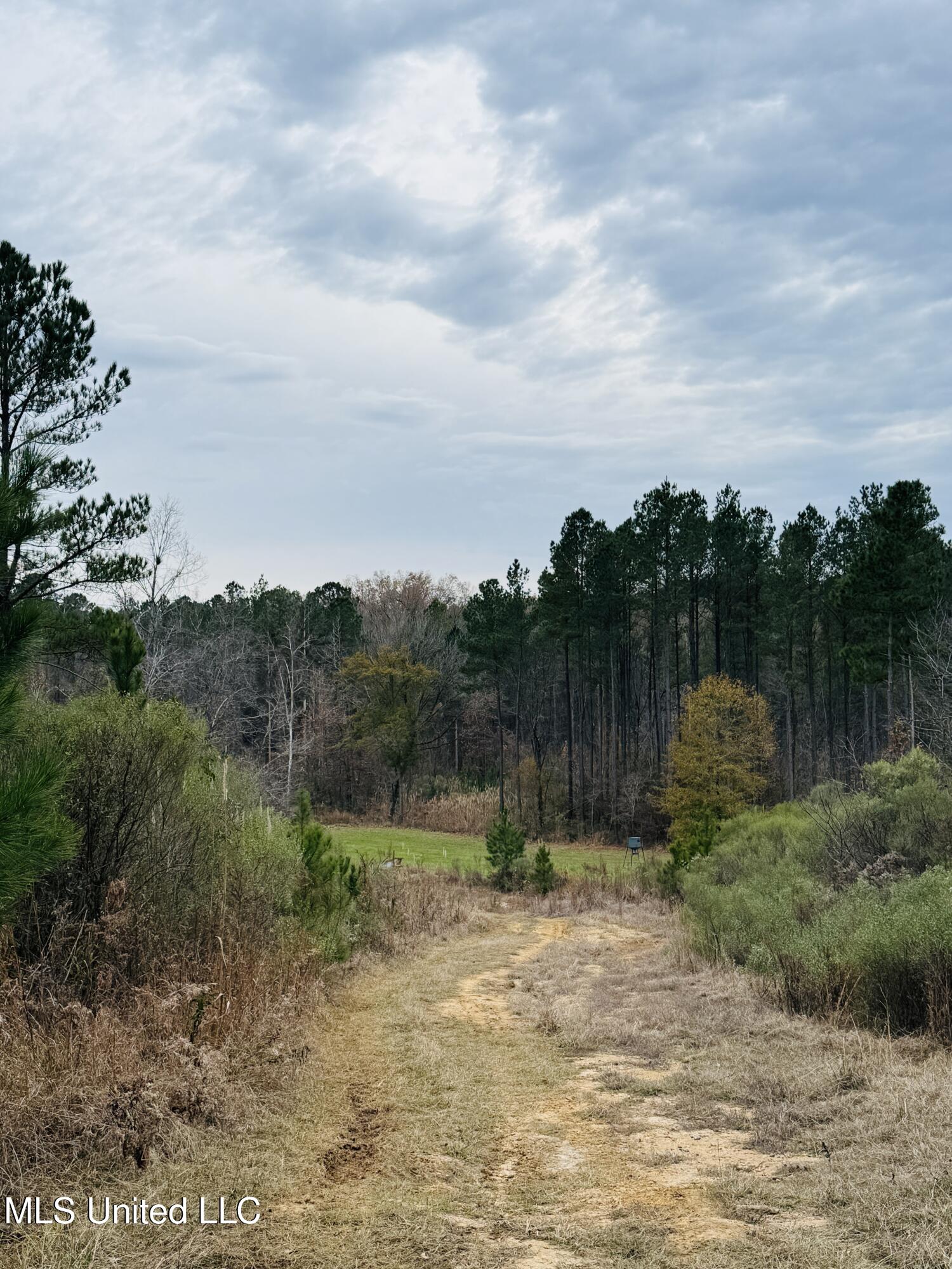 1445 Parsons Road Raymond, MS 39154 - Photo 10 of 56 Photo Dec 17 2025, 3 52 39 PM