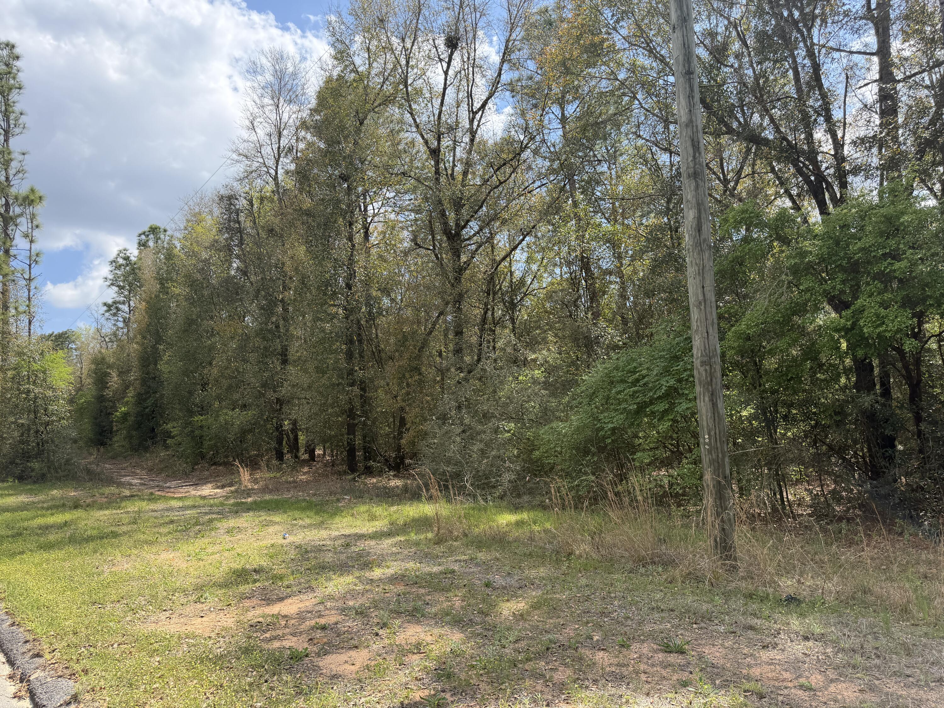 10-ac Broxson Road Holt, FL 32564 - Photo 6 of 6 IMG_1478