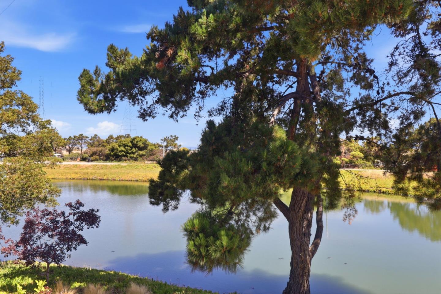 425 Anchor Road, Unit 209 San Mateo, CA 94404 - Photo 25 of 48