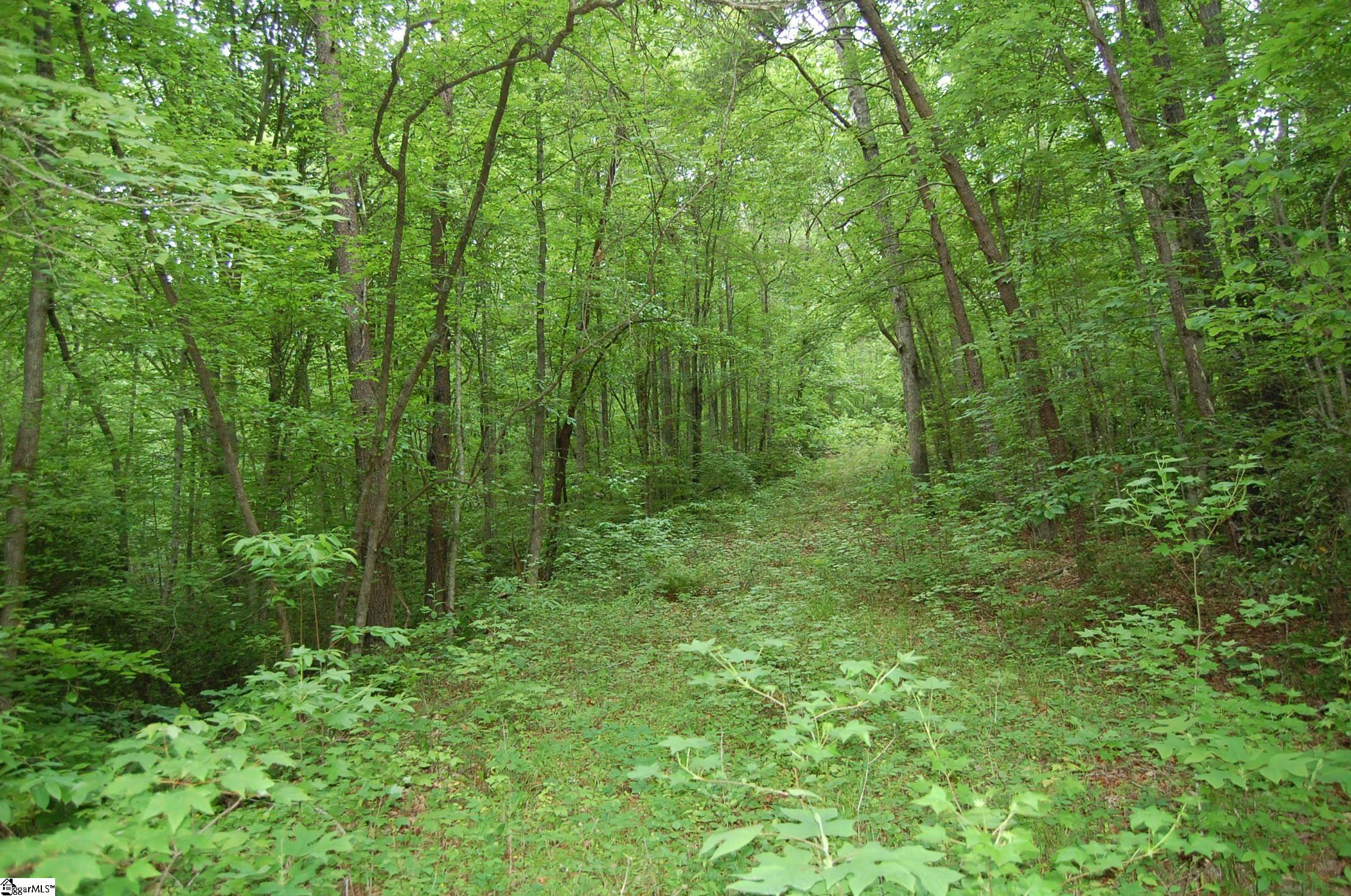 5 Queensmoor Road Travelers Rest, SC 29690 - Photo 1 of 11