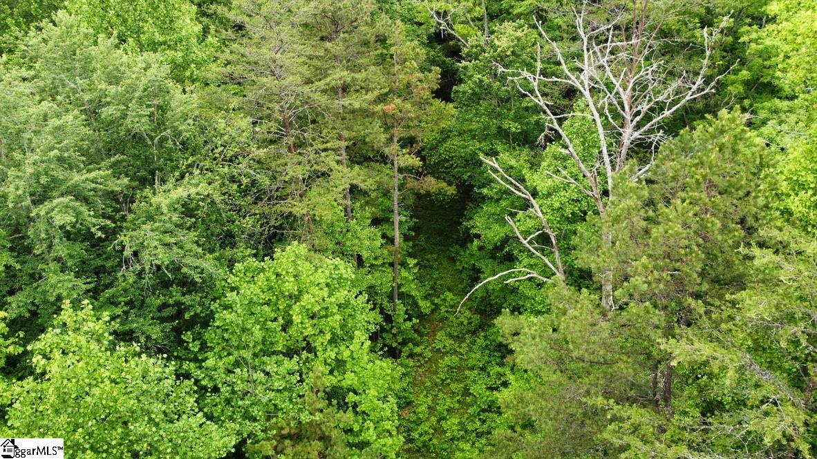 5 Queensmoor Road Travelers Rest, SC 29690 - Photo 11 of 11