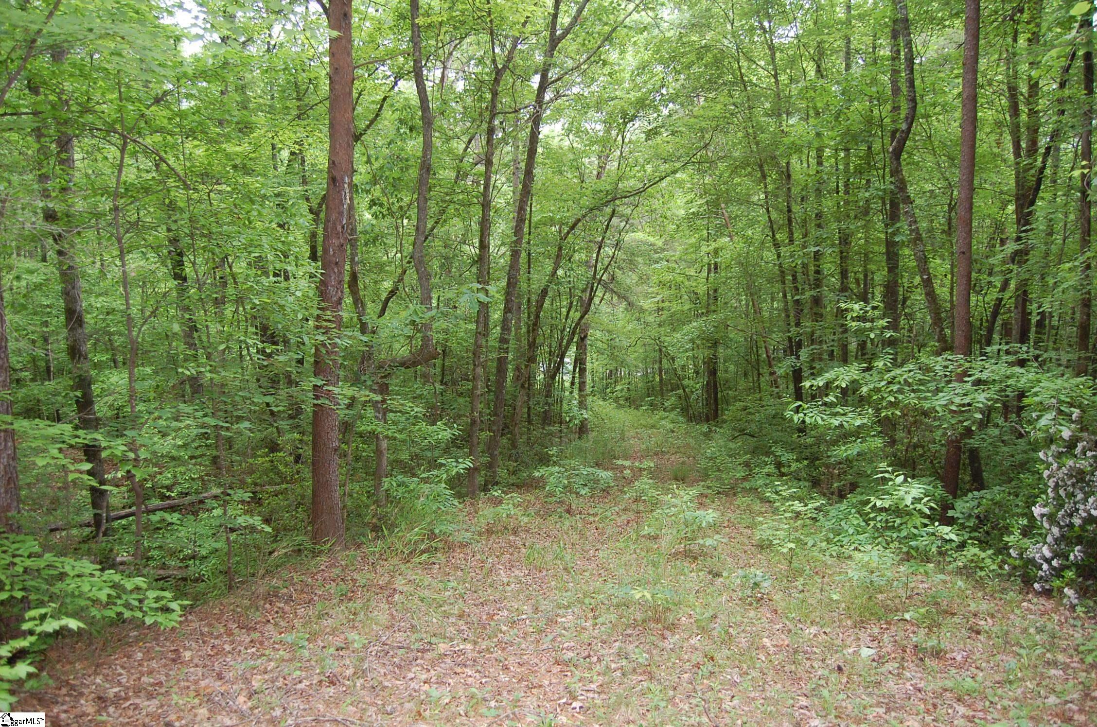 5 Queensmoor Road Travelers Rest, SC 29690 - Photo 2 of 11