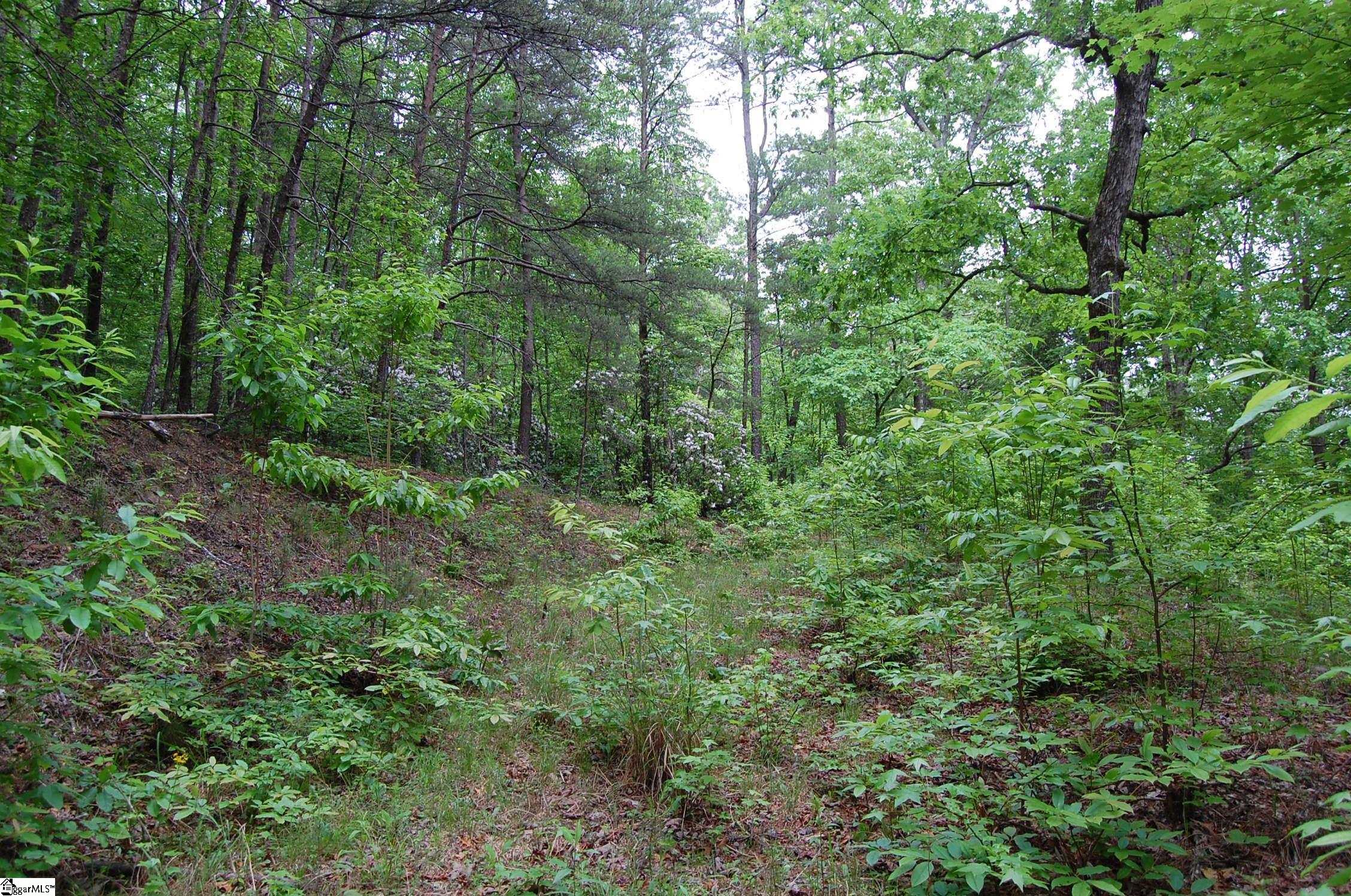 5 Queensmoor Road Travelers Rest, SC 29690 - Photo 3 of 11