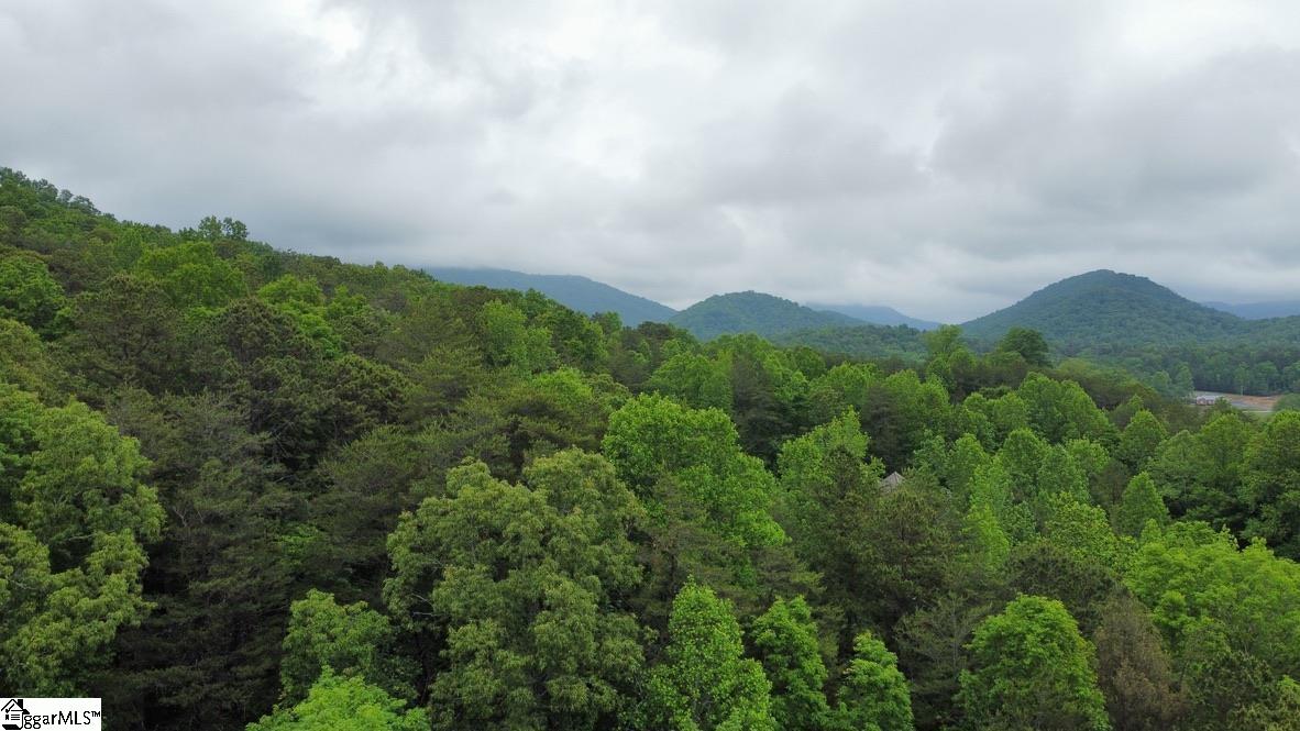 5 Queensmoor Road Travelers Rest, SC 29690 - Photo 6 of 11