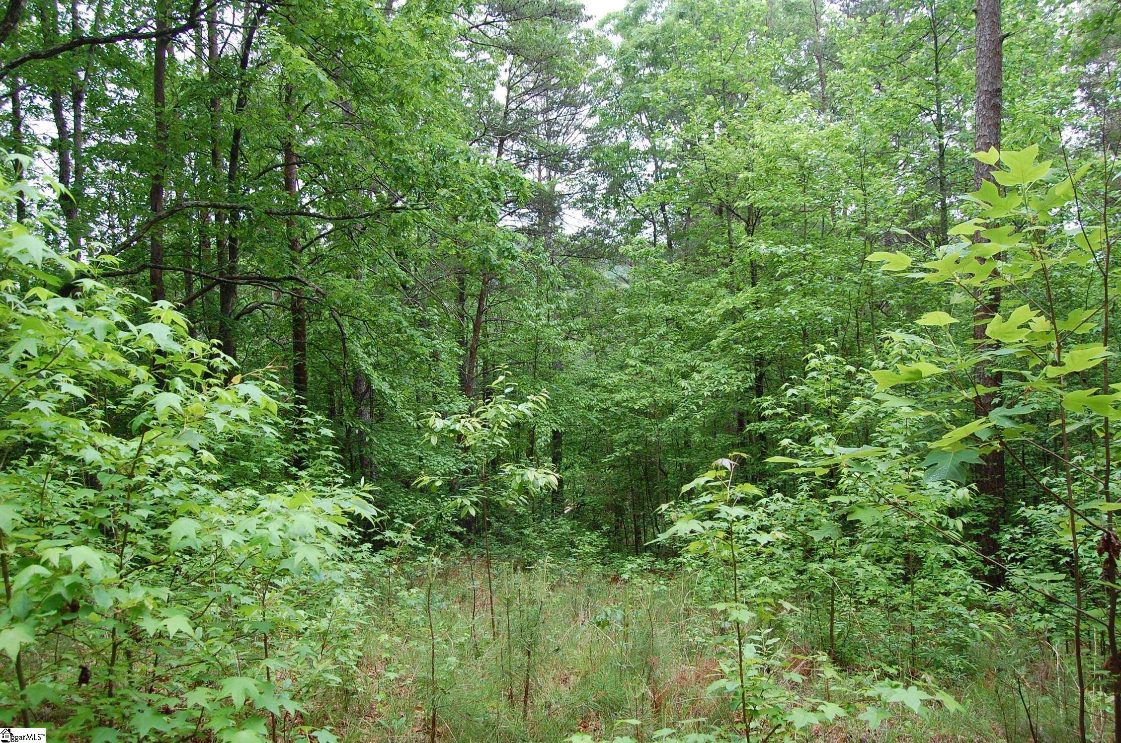 5 Queensmoor Road Travelers Rest, SC 29690 - Photo 10 of 11