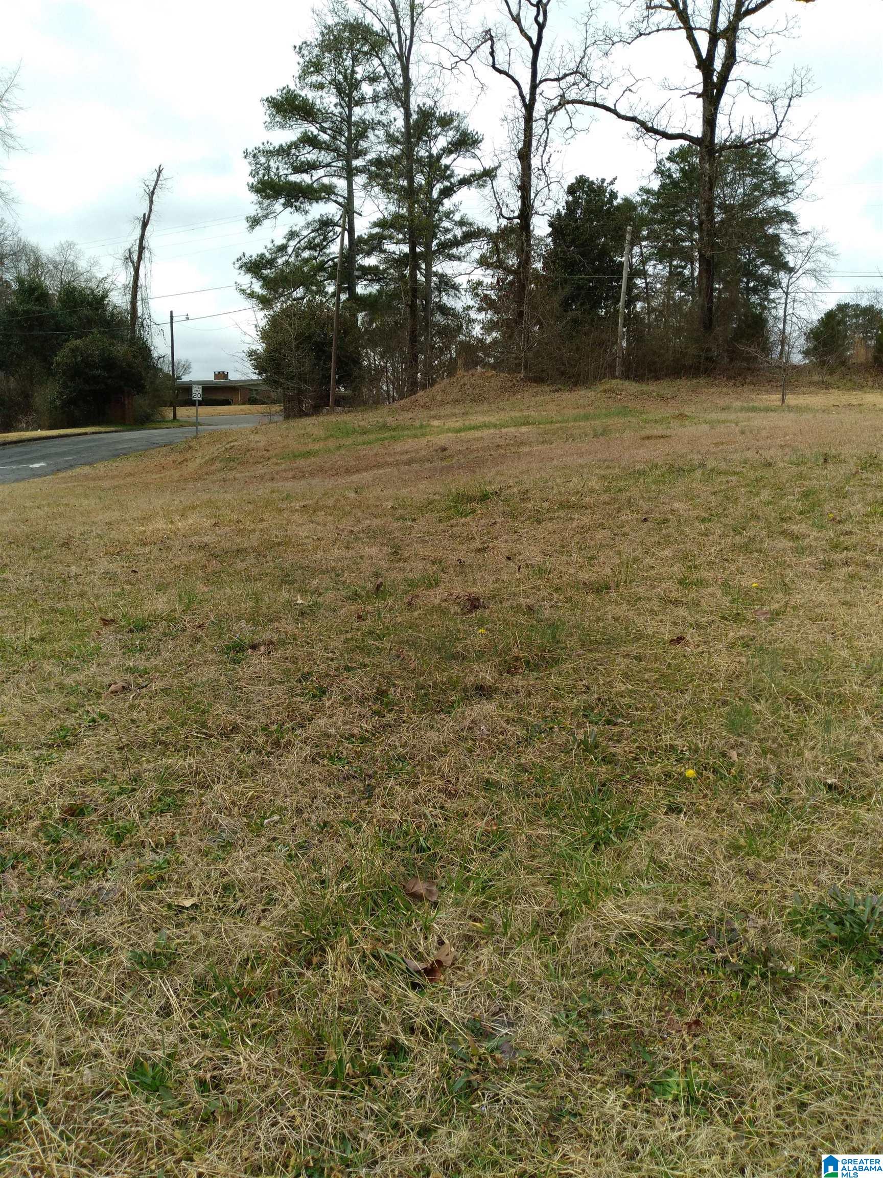 300 Ridge Avenue, Unit 15 16 Bessemer, AL 35020 - Photo 4 of 4