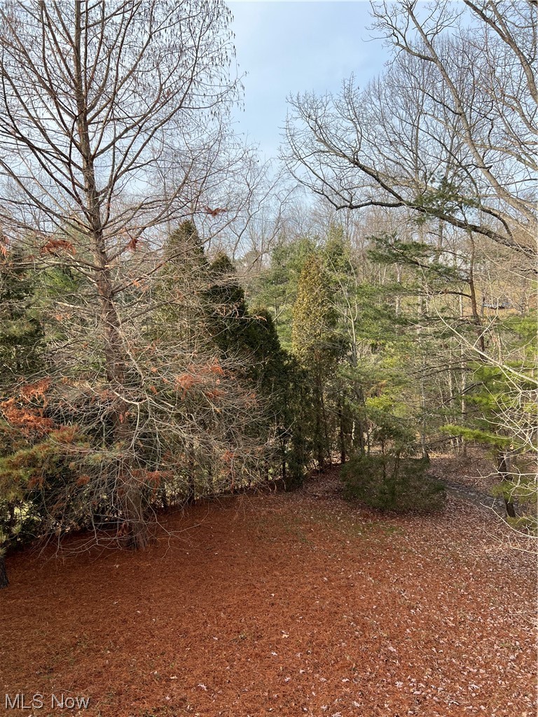 270 Rummer Road Marietta, OH 45750 - Photo 17 of 17 View of yard