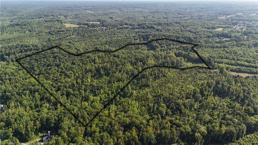 0 Nubbin Ridge Road Reidsville, NC 27320 - Photo 3 of 13