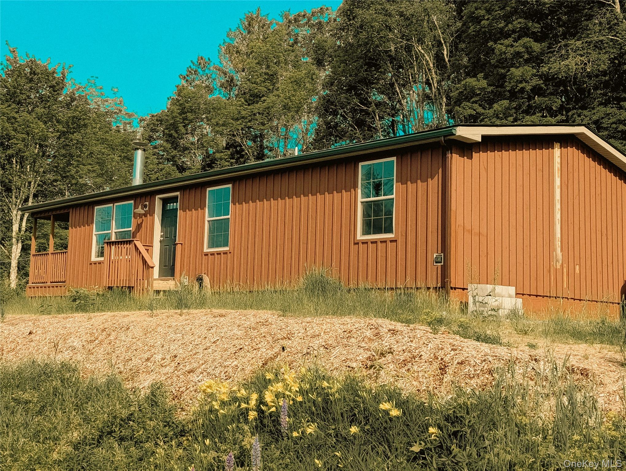 91 White Roe Lake Road Livingston Manor, NY 12758 - Photo 3 of 11