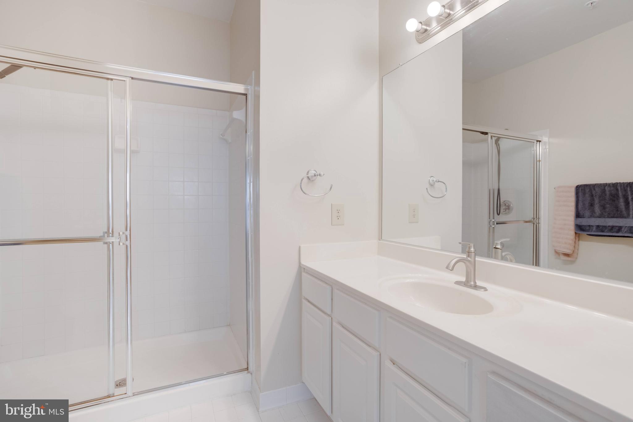 11302 Westbrook Mill Lane, Unit 204 Fairfax, VA 22030 - Photo 22 of 30 a bathroom with a sink and a mirror
