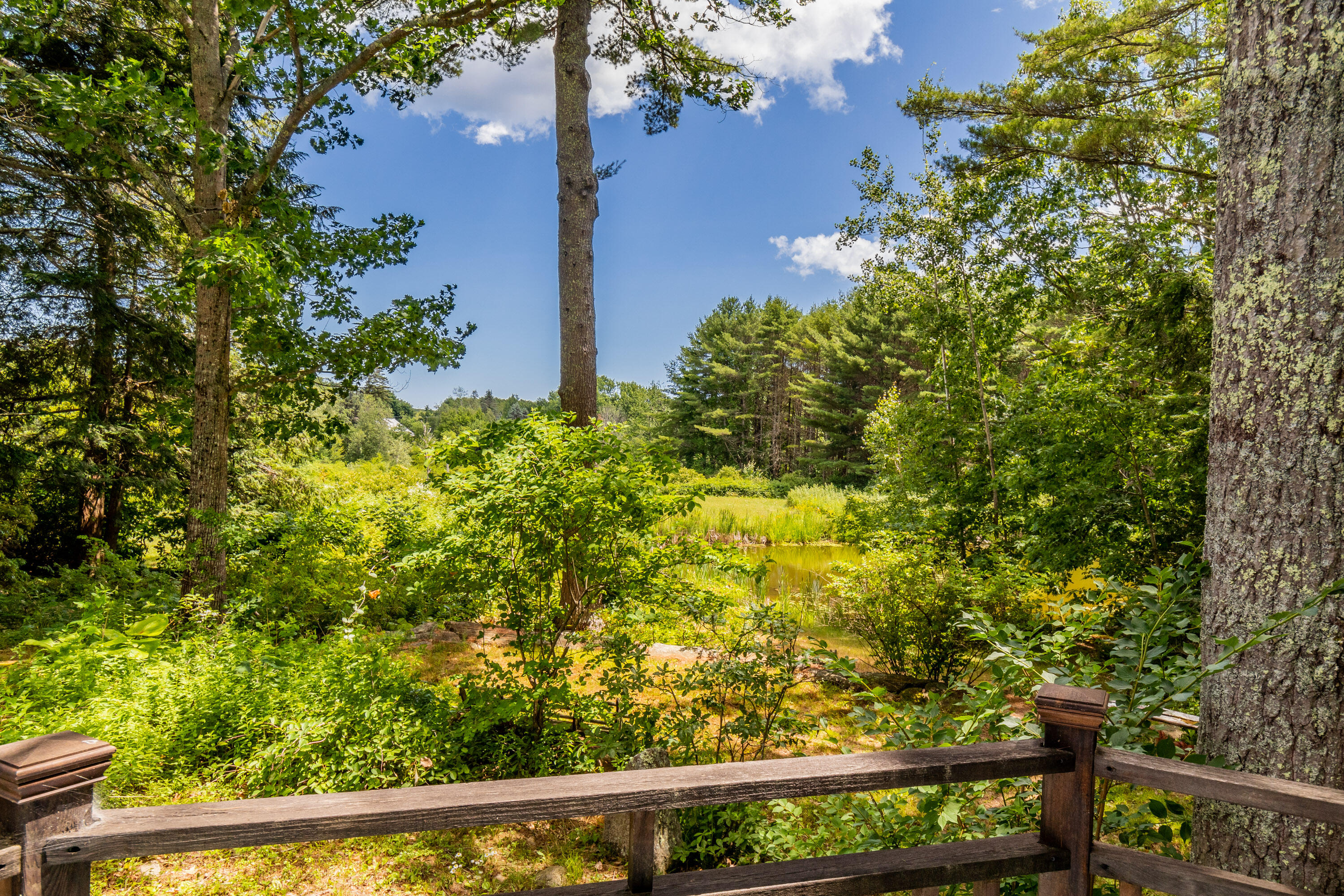 294 Arundel Road Kennebunkport, ME 04046 - Photo 34 of 68 20220713ms-81031
