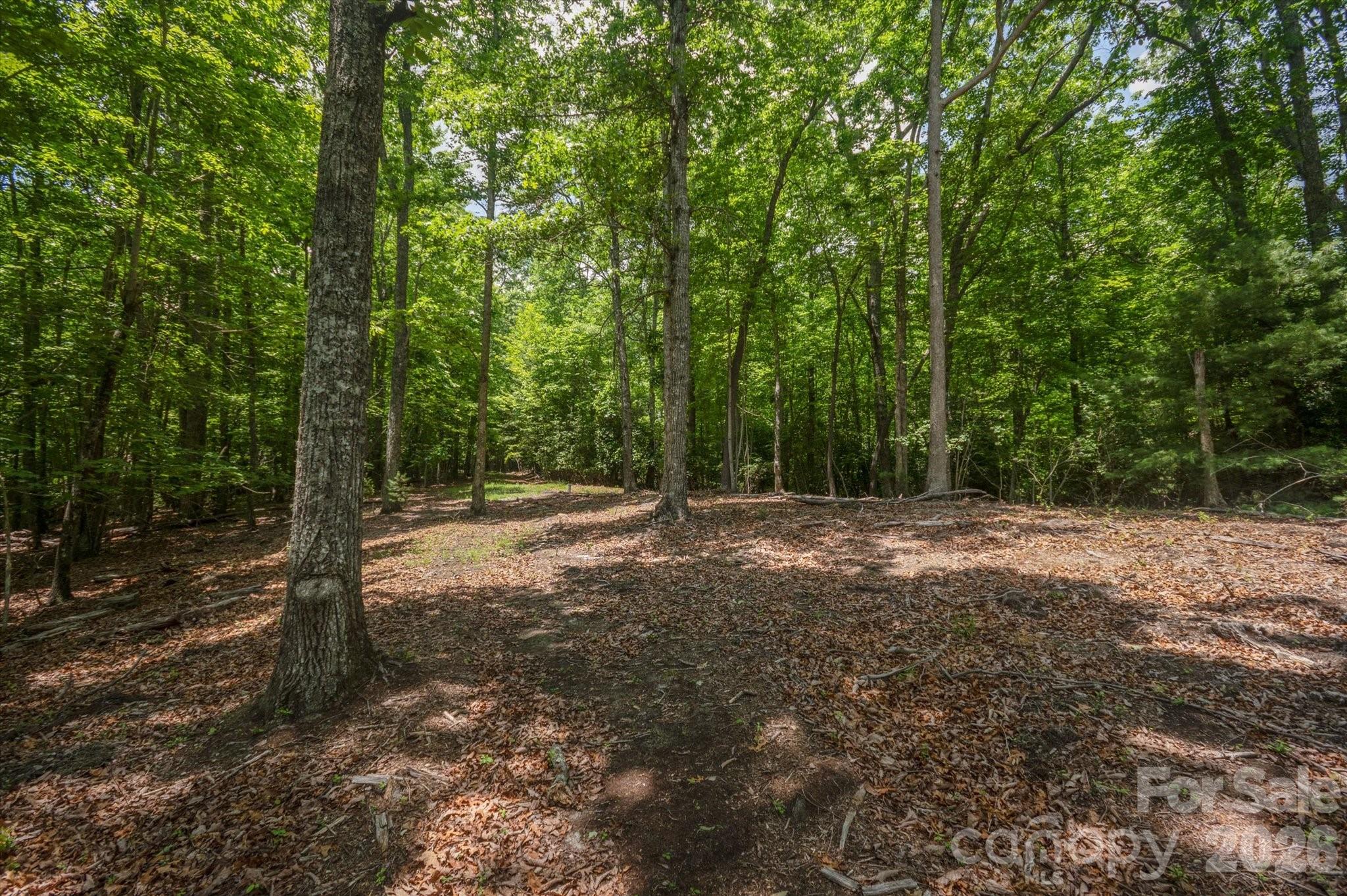 Tbd Reserve Road, Unit 16 Pisgah Forest, NC 28768 - Photo 2 of 18