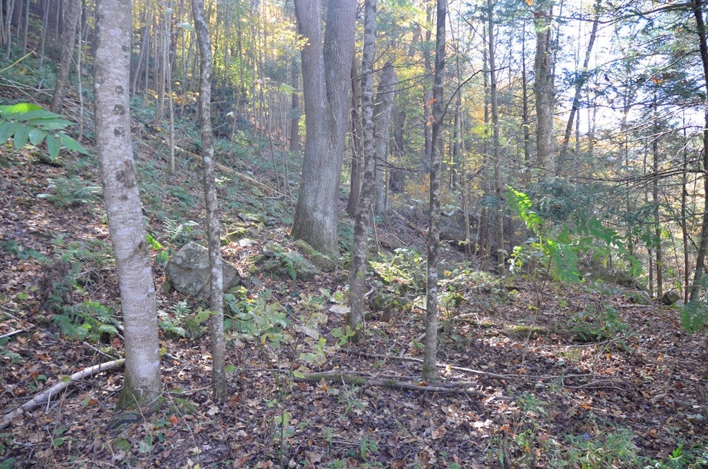 264 Congress Road Raven, VA 24639 - Photo 14 of 25 Gallery Image 14